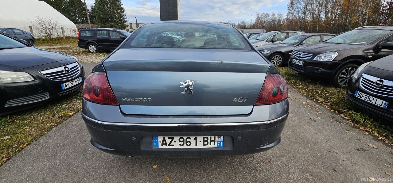Peugeot 407 | 4