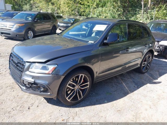 Audi SQ5, cross-country
