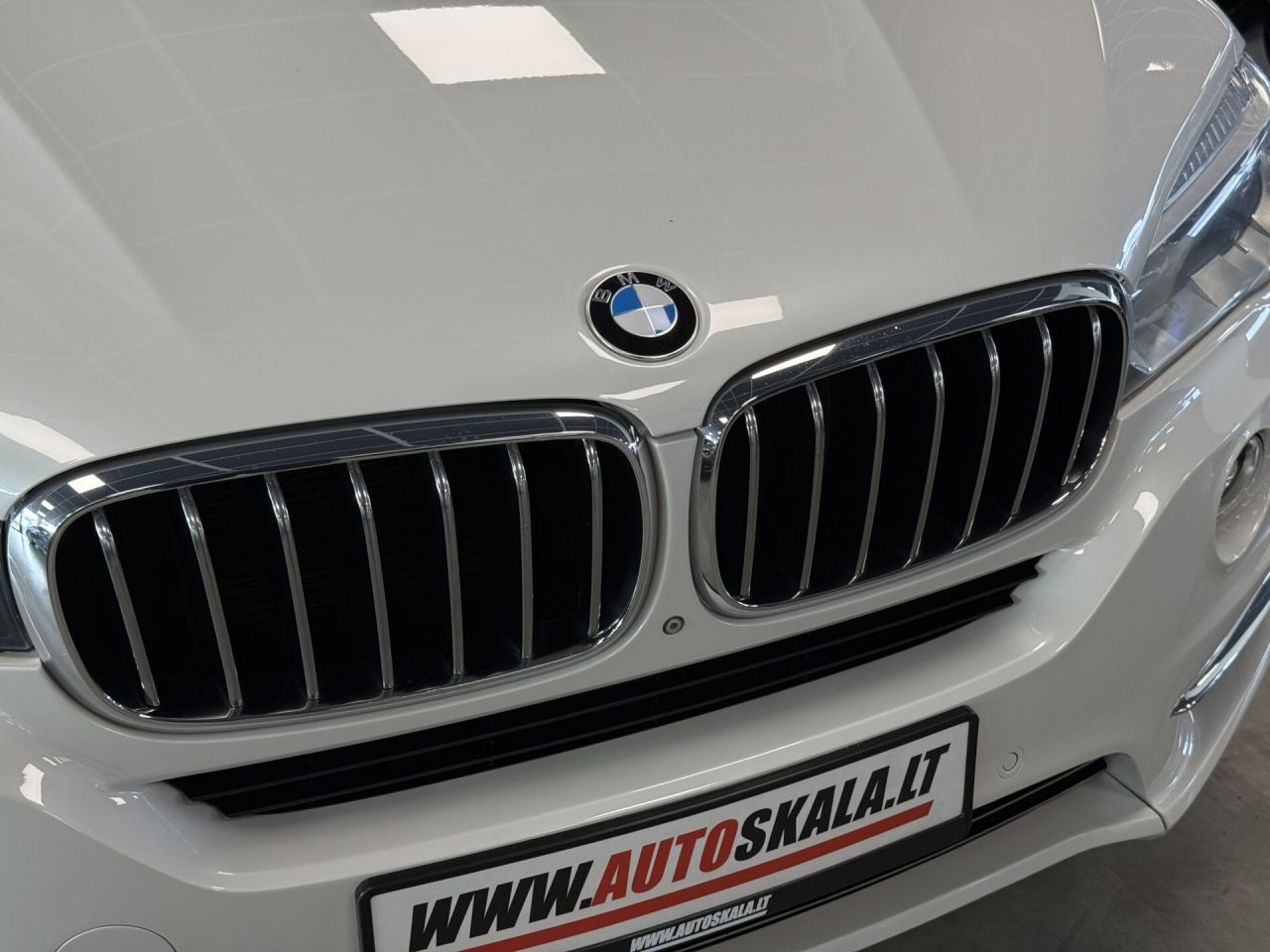 BMW X5 | 31