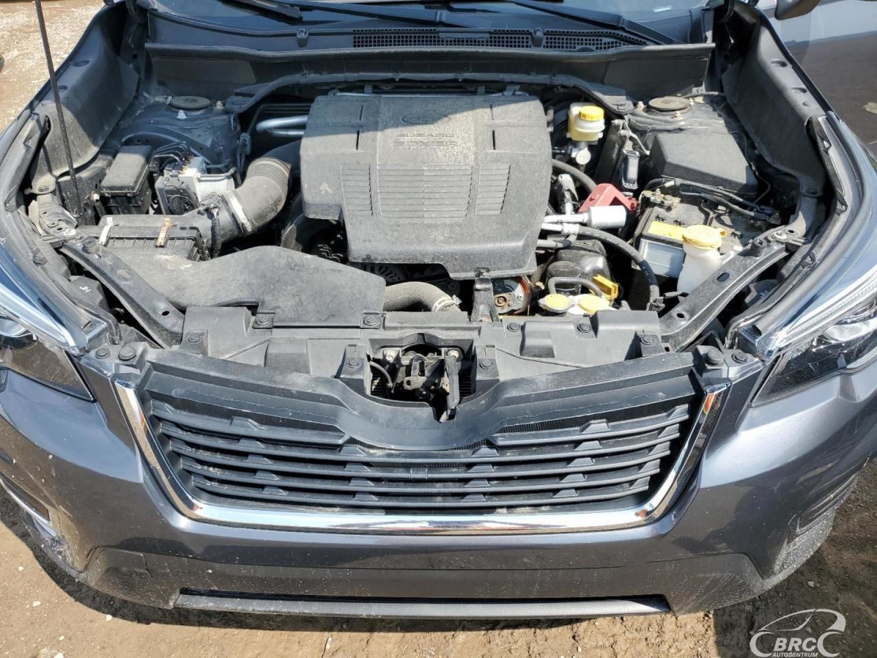 Subaru Forester | 44