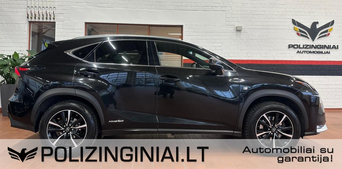 Lexus NX 300h | 6