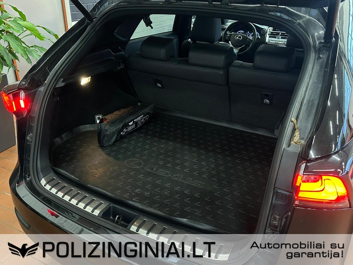 Lexus NX 300h | 31