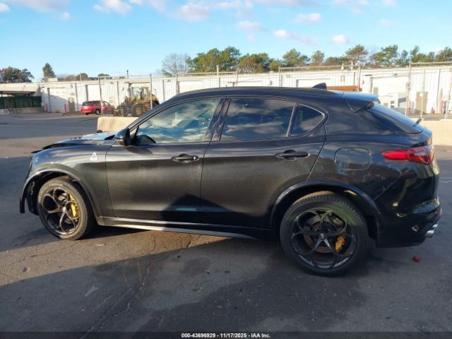 Alfa Romeo Stelvio | 12