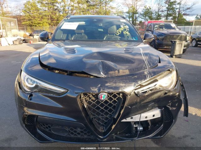 Alfa Romeo Stelvio | 10