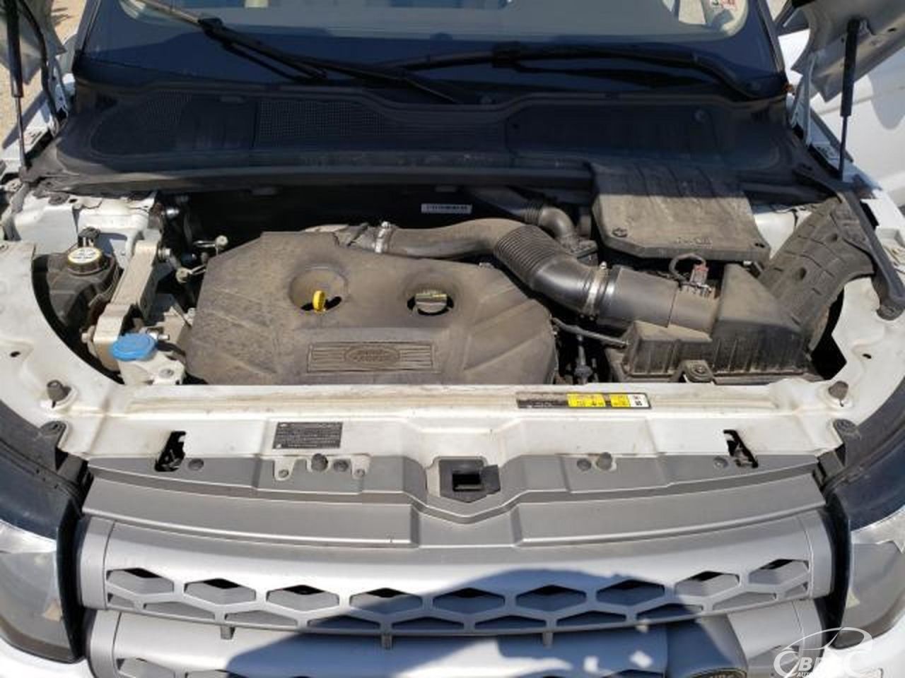 Land Rover Range Rover | 50