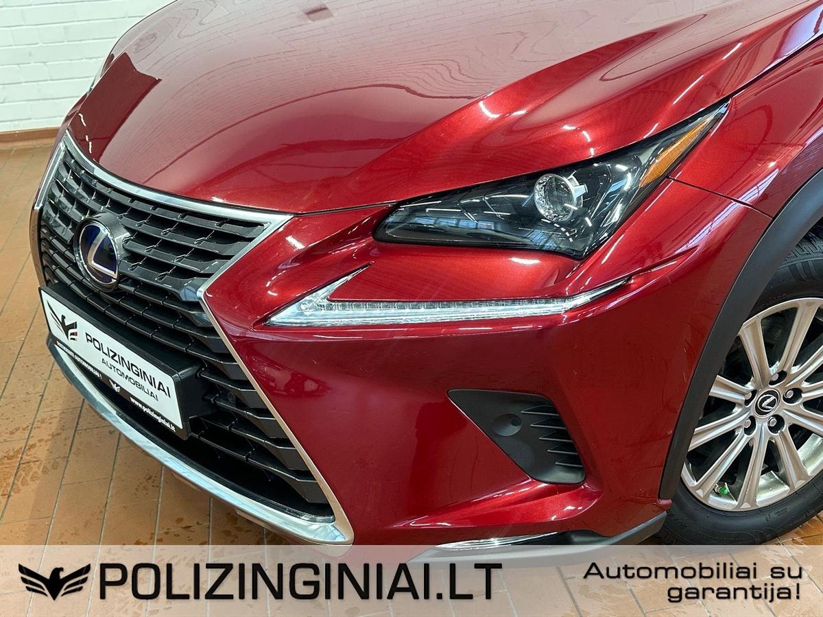 Lexus NX 300h | 8