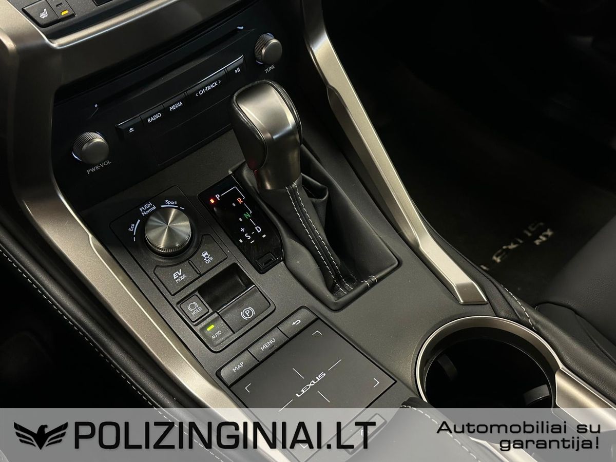 Lexus NX 300h | 19