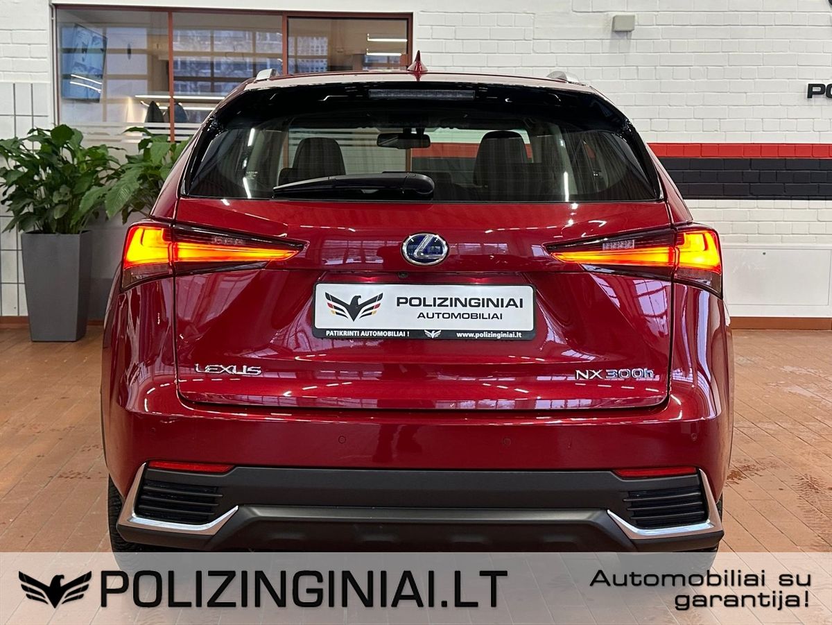 Lexus NX 300h | 6