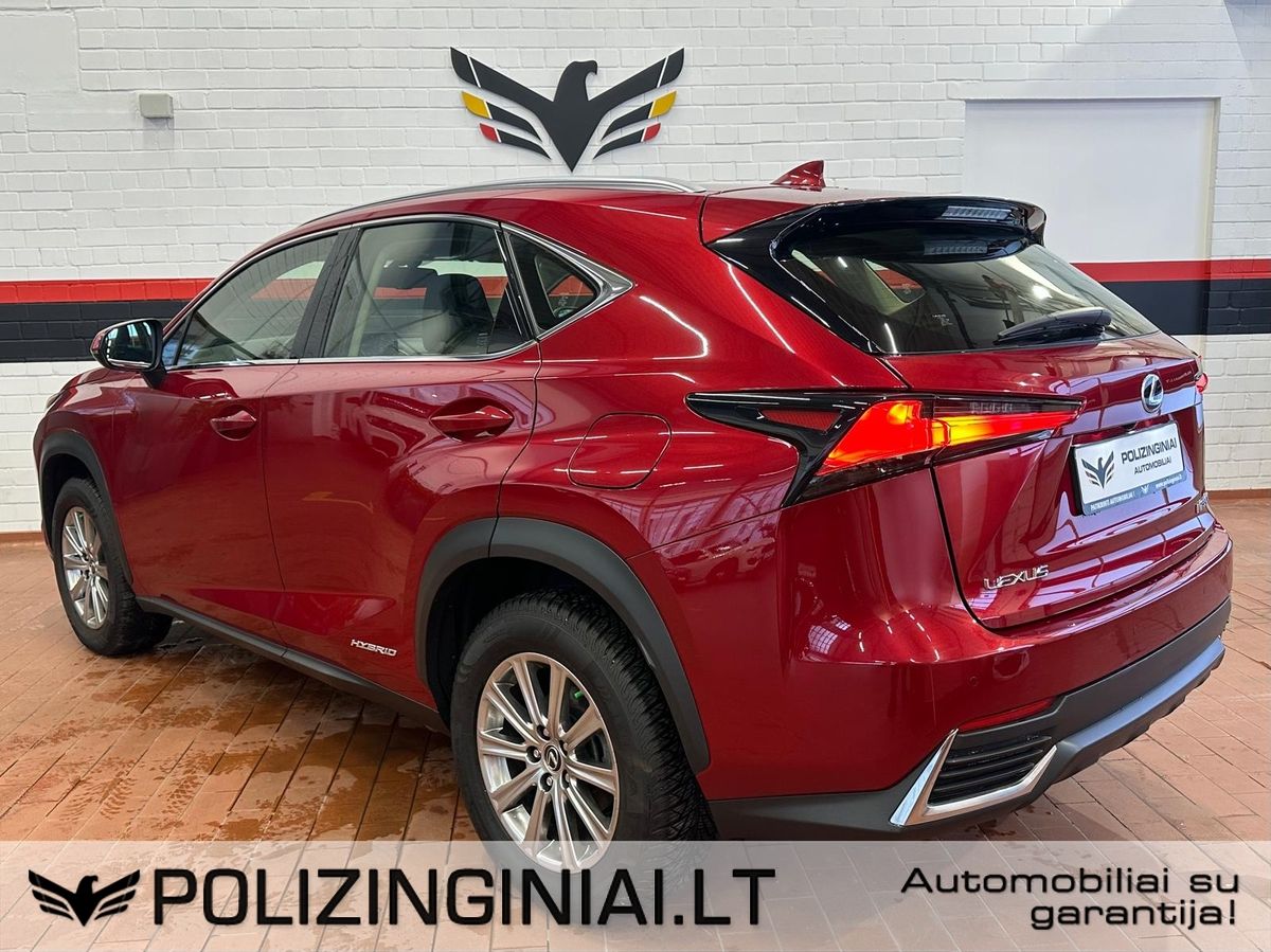 Lexus NX 300h | 7
