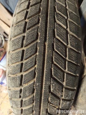 Belshina padangos | 1