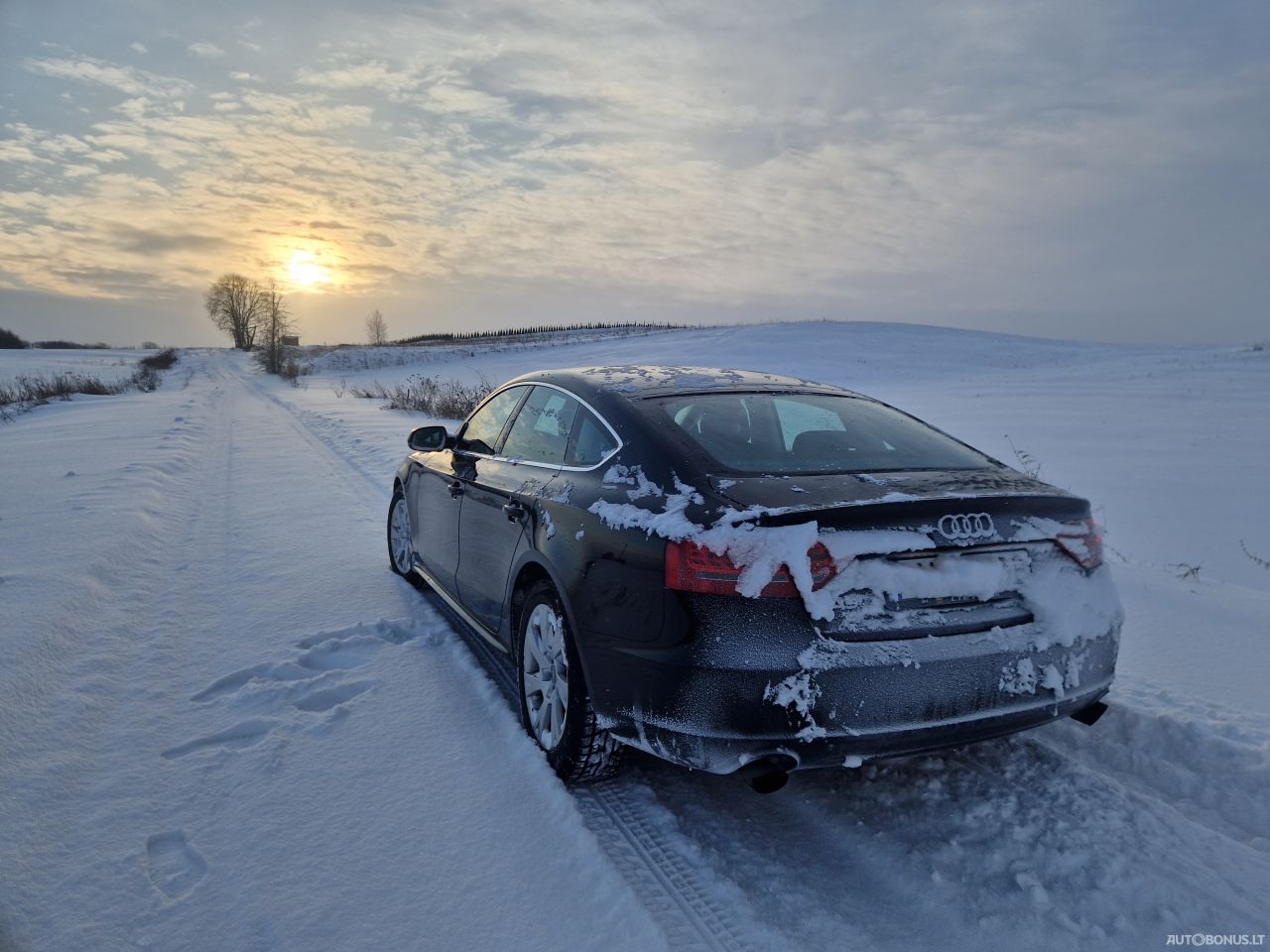 Audi A5 SPORTBACK | 11