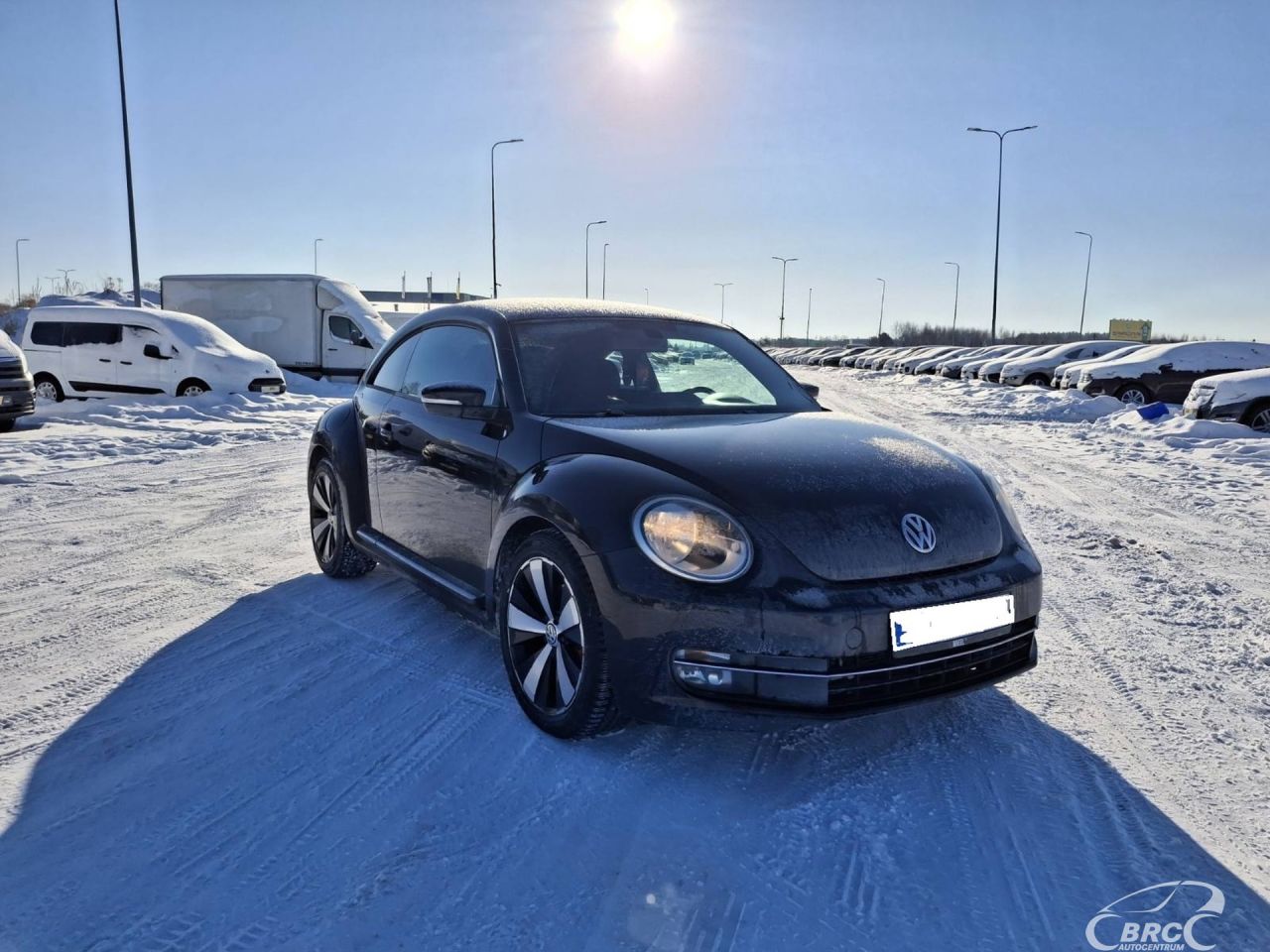 Volkswagen Beetle | 4