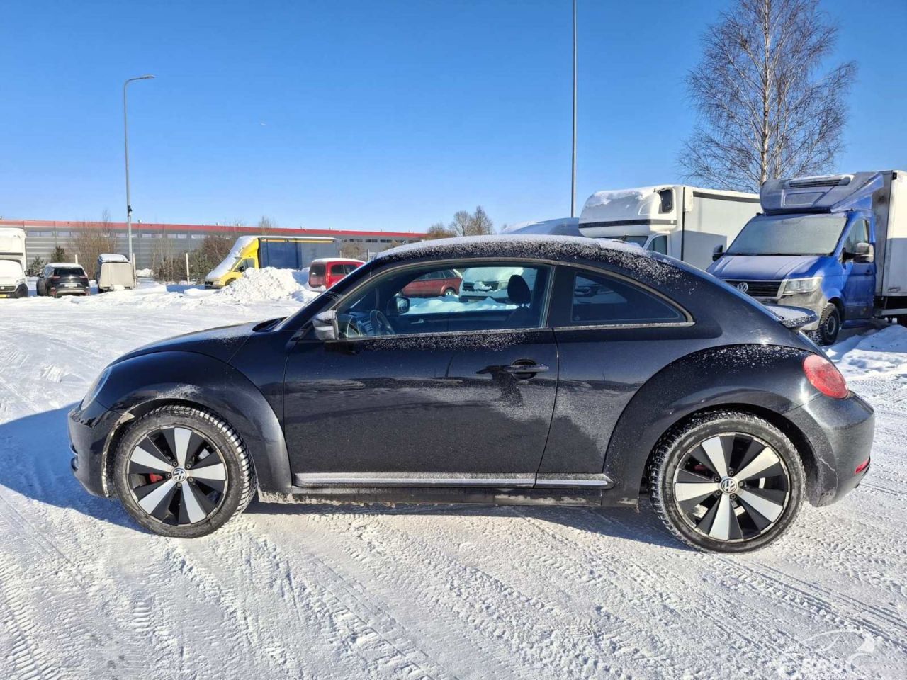 Volkswagen Beetle | 5