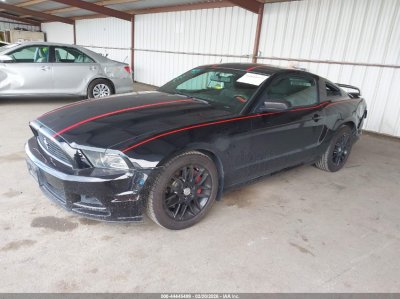Ford Mustang | 1