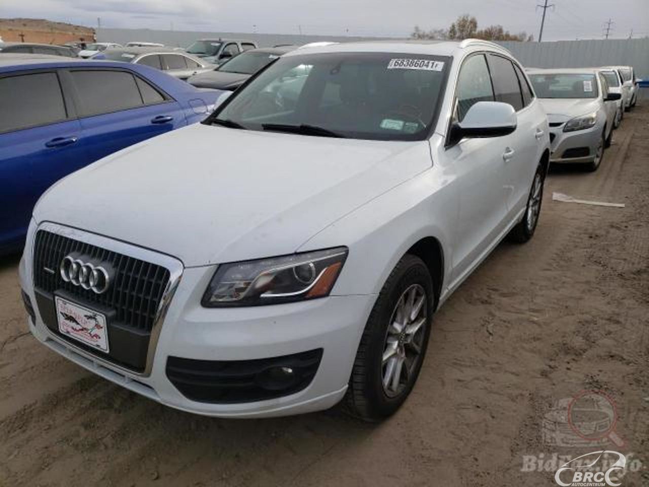 Audi Q5 | 55