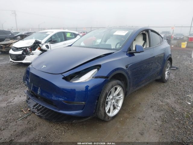 Tesla Model Y | 1