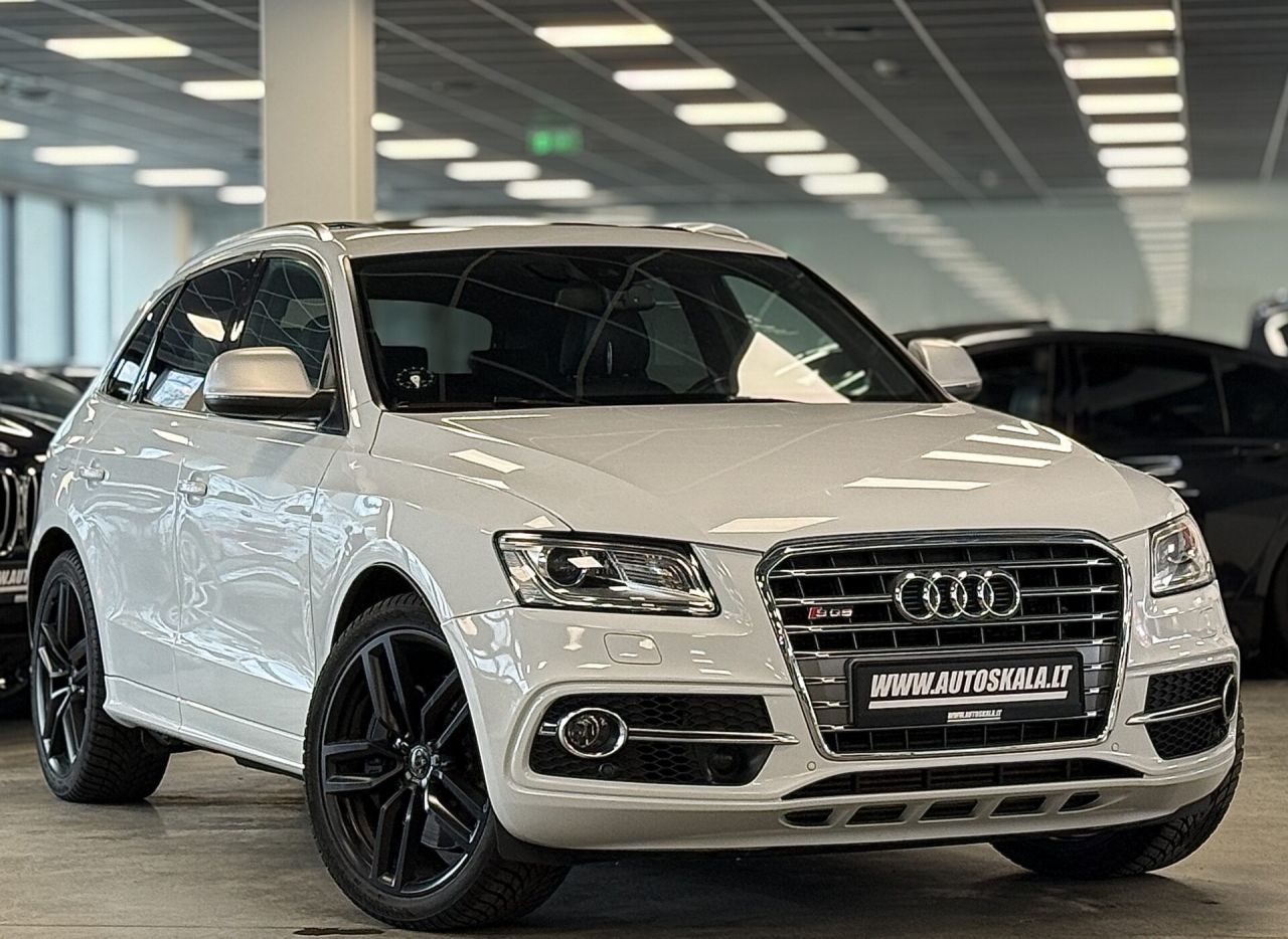 Audi SQ5 | 33