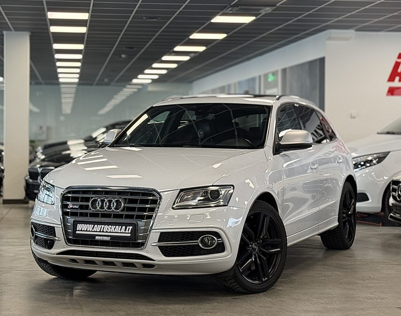 Audi SQ5 | 30