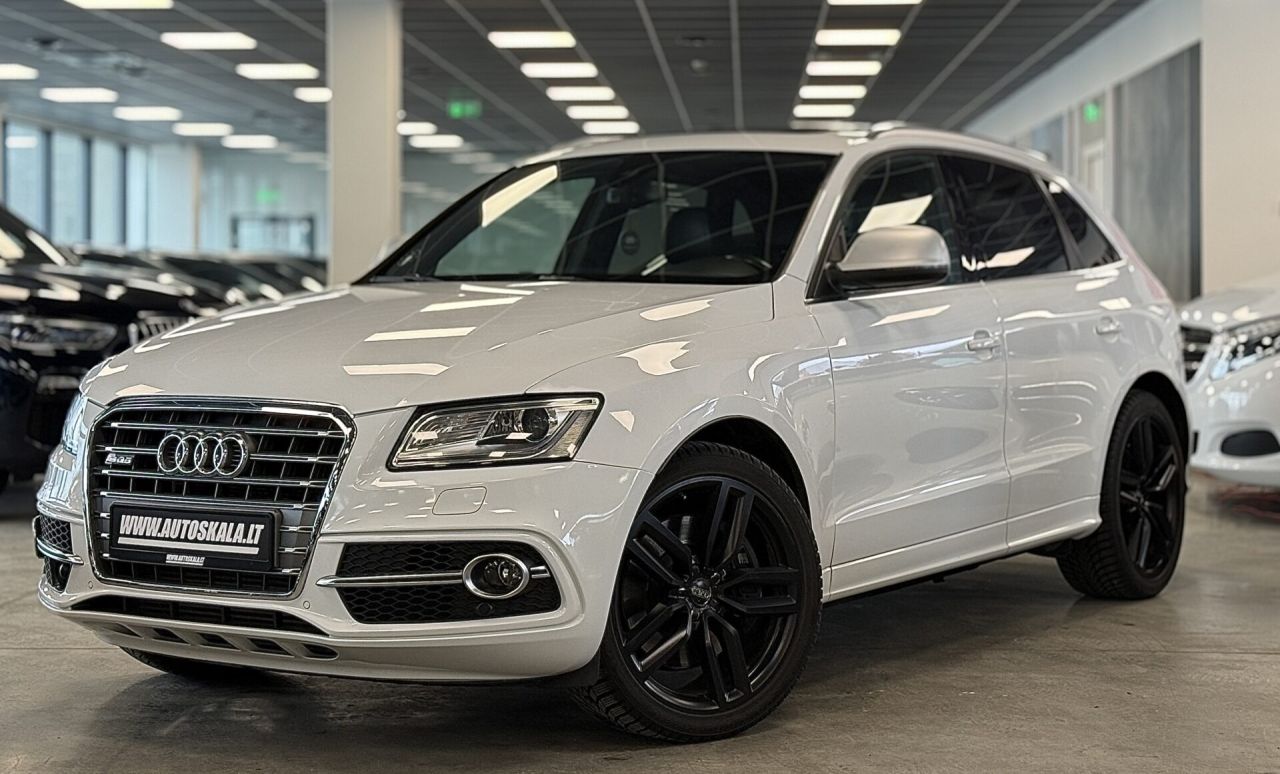 Audi SQ5 | 31