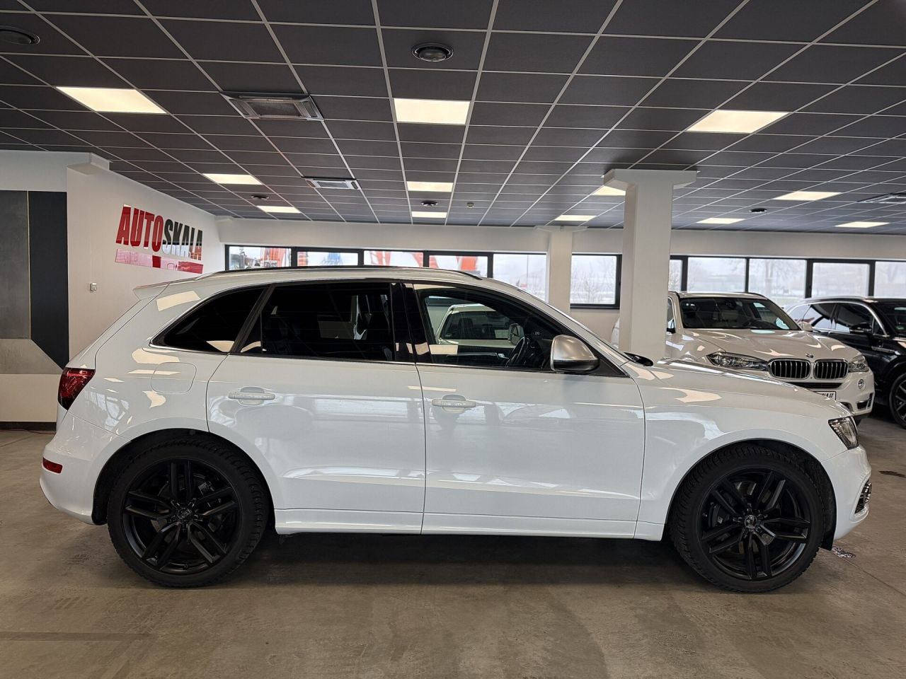 Audi SQ5 | 36