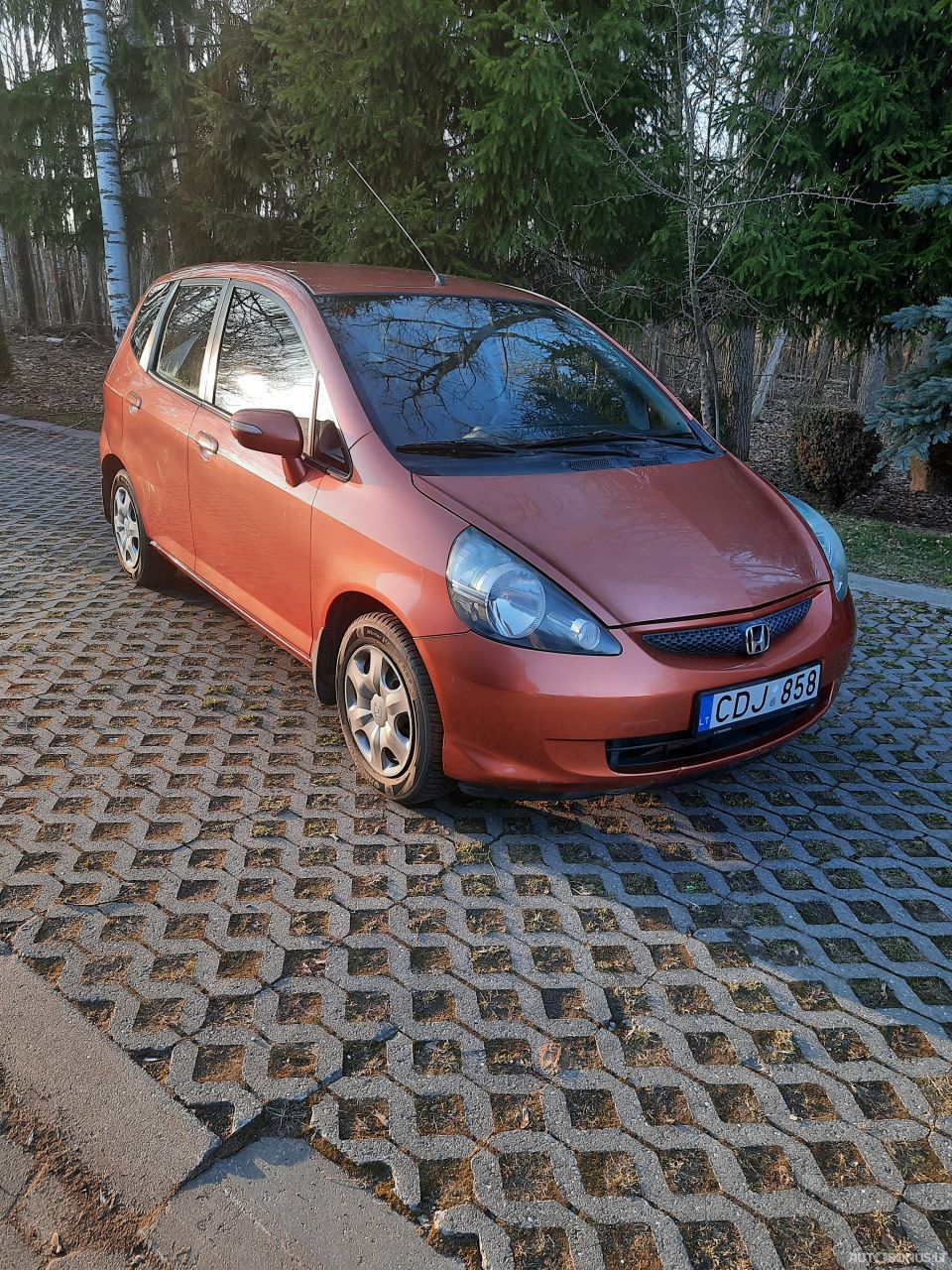 Honda Jazz | 12