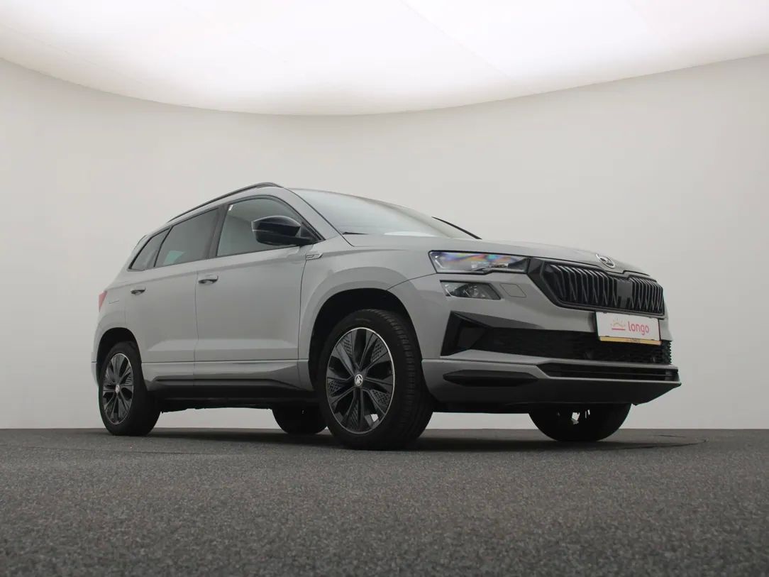 Skoda Karoq | 10