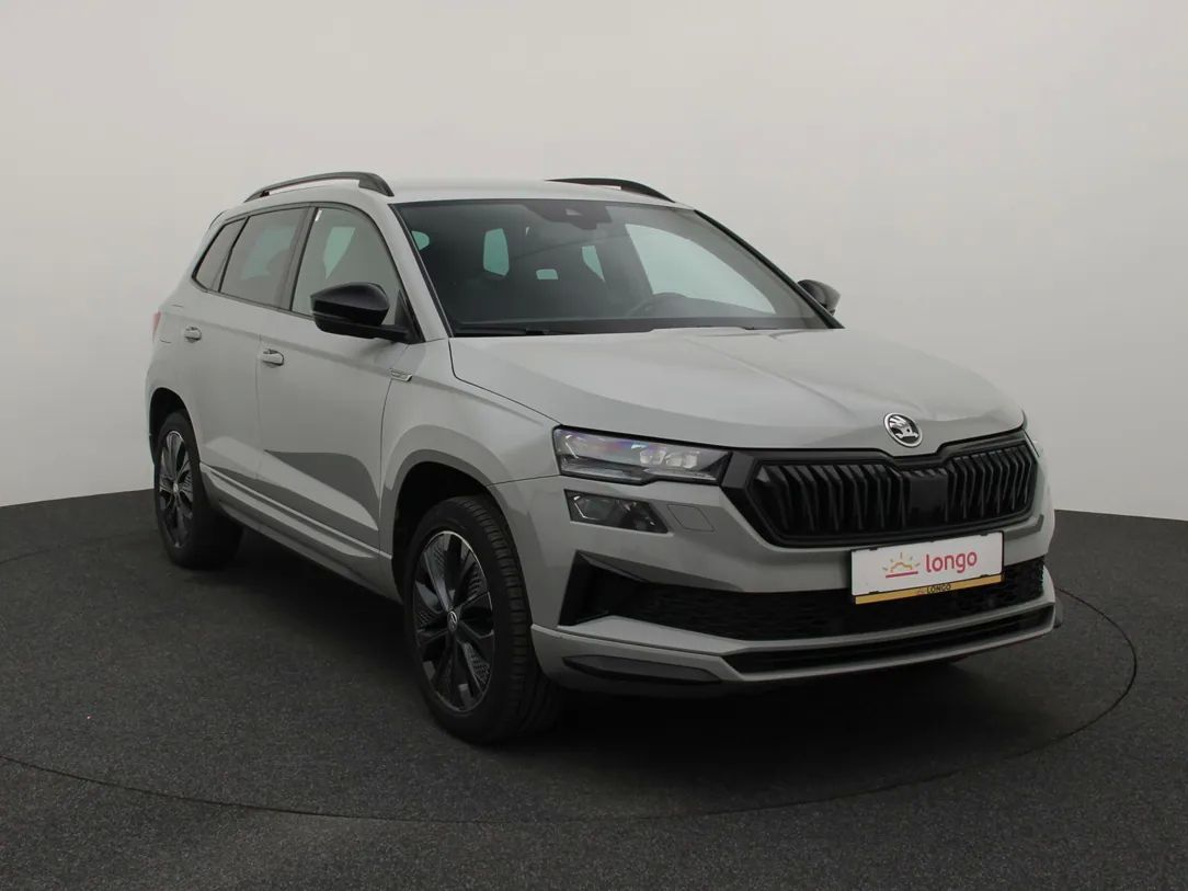 Skoda Karoq | 9