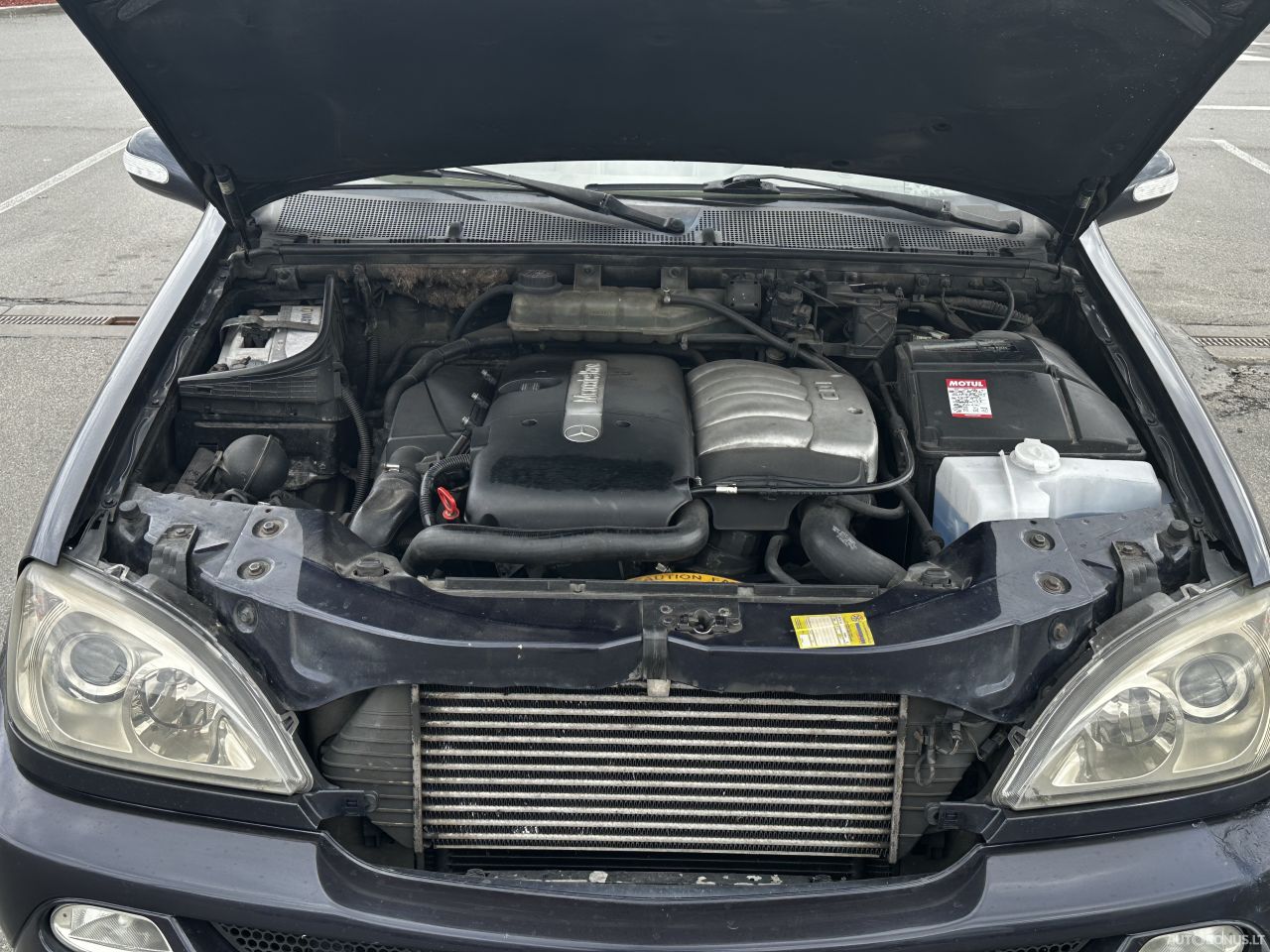 Mercedes-Benz ML270 | 6