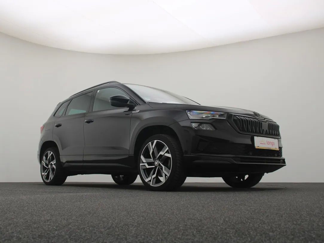 Skoda Karoq | 10