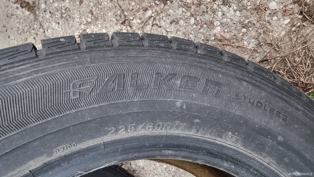 Falken Espia žieminės padangos | 1