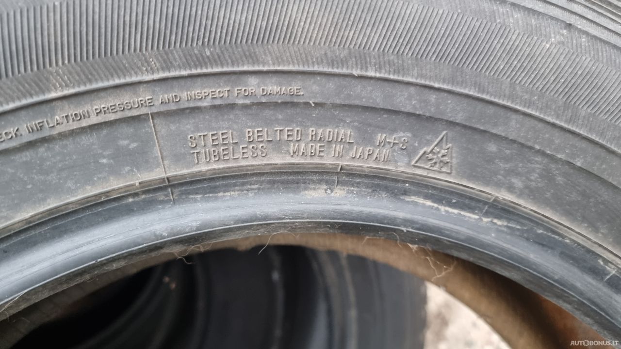 Falken Espia žieminės padangos | 2