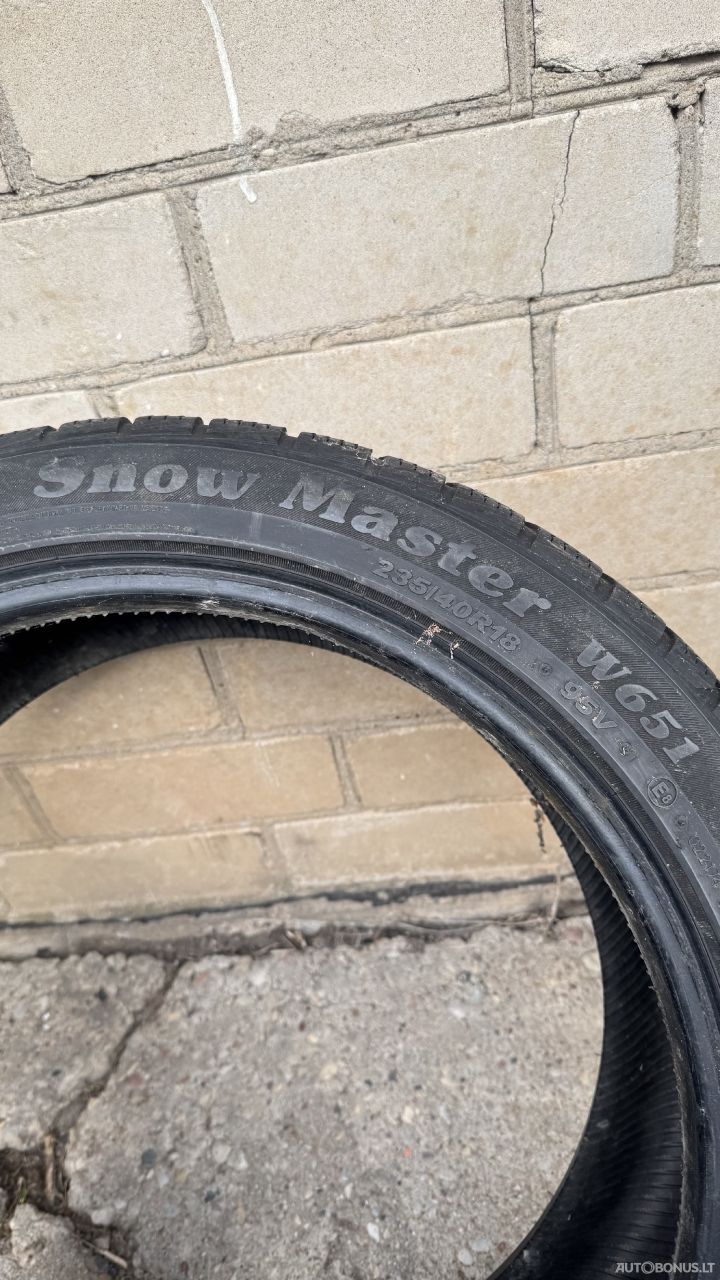 Petlas Snowmaster W651 зимние шины | 2