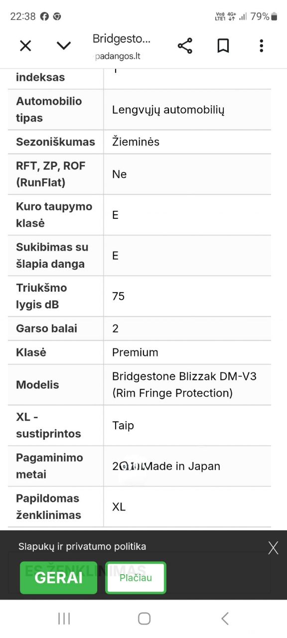 Bridgestone BLIZZAK DM-V3 žieminės padangos | 12