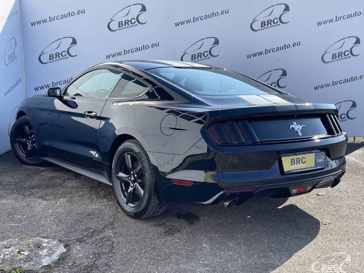 Ford Mustang | 25