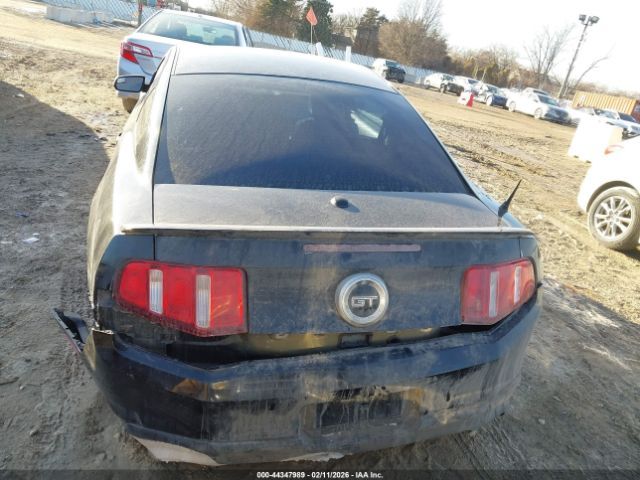 Ford Mustang | 15