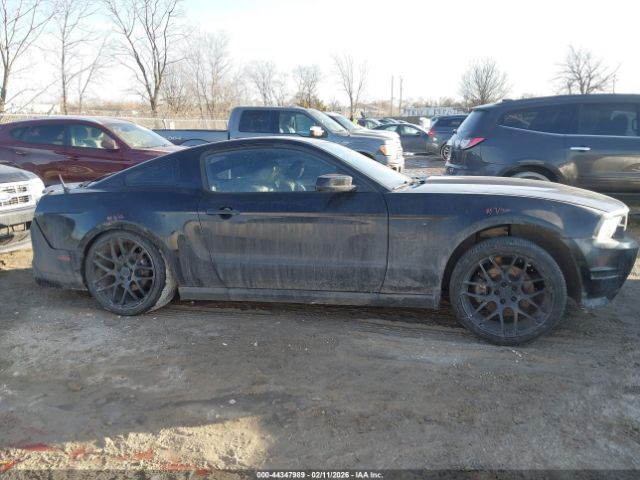 Ford Mustang | 12