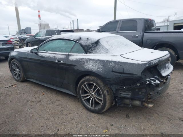 Ford Mustang | 13