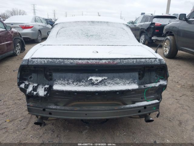 Ford Mustang | 15