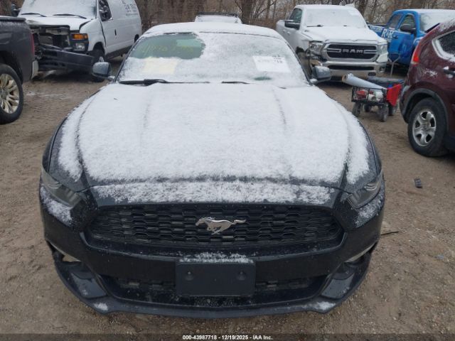 Ford Mustang | 11