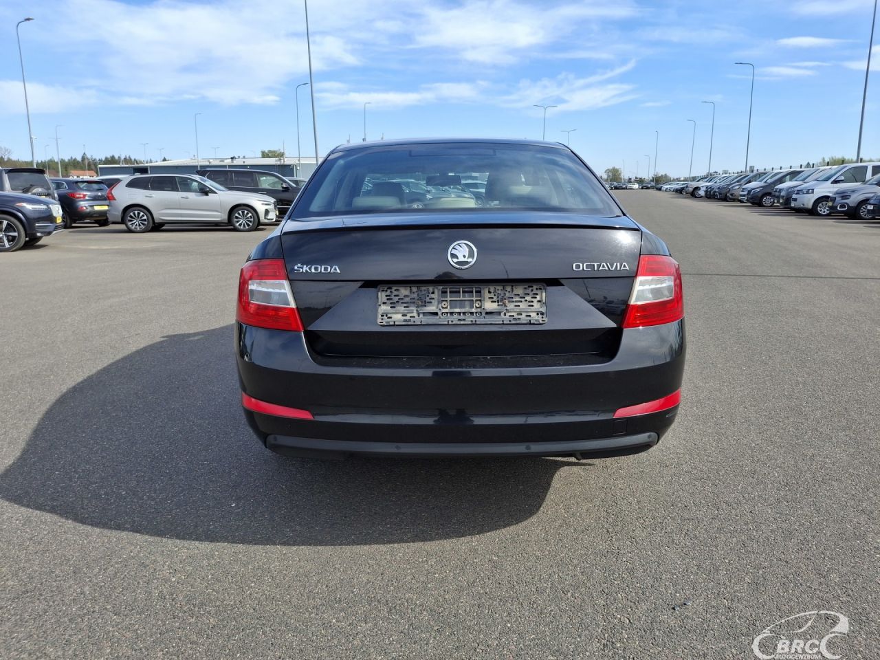 Skoda Octavia | 3