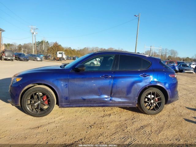 Alfa Romeo Stelvio | 13