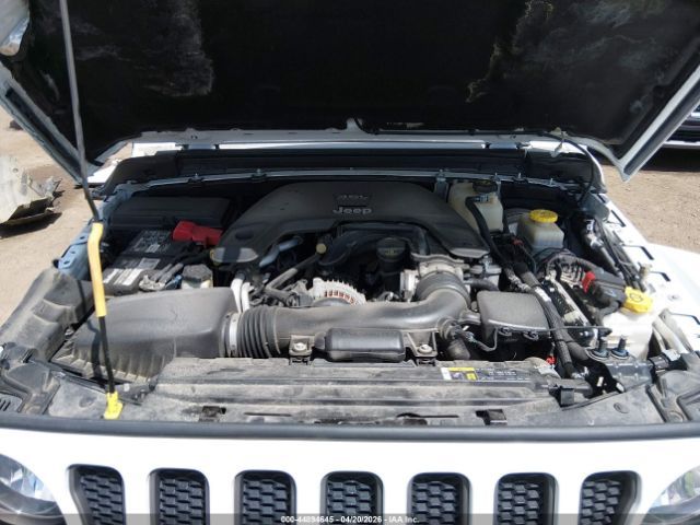 Jeep Wrangler | 9