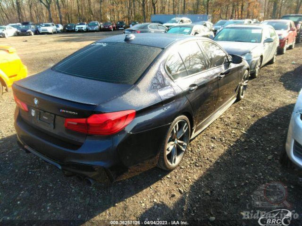 BMW M550 | 67