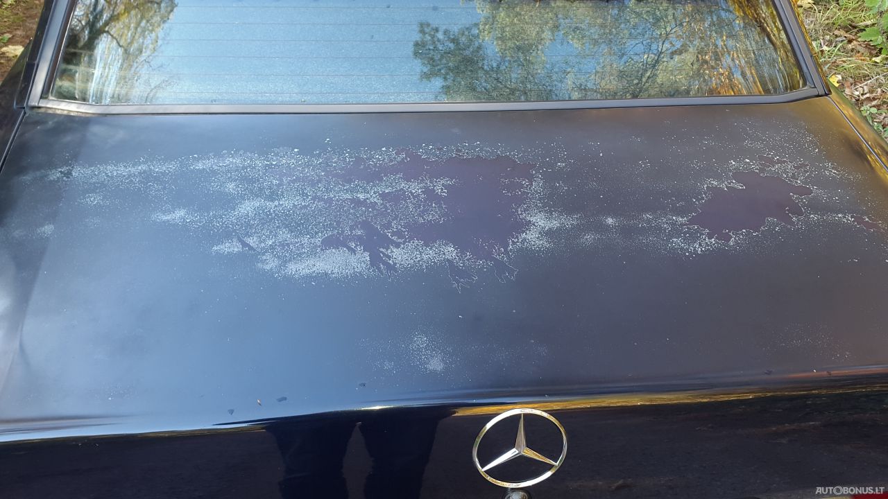 Mercedes-Benz | 14