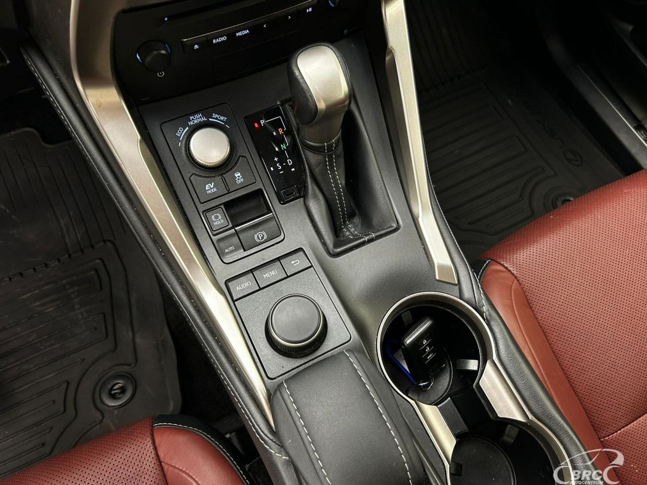 Lexus NX 300h | 18