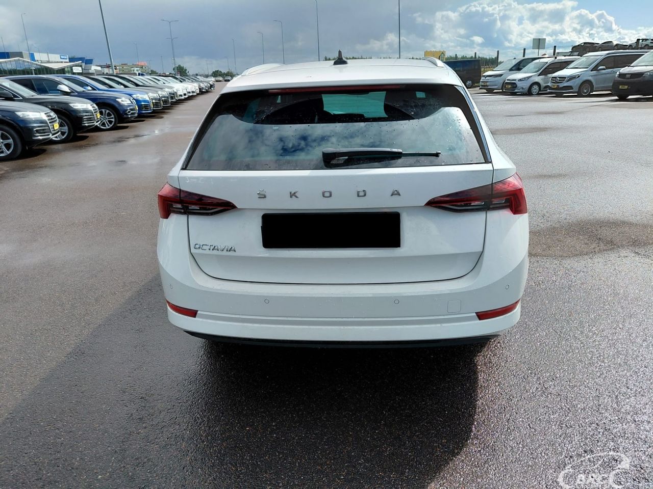 Skoda Octavia | 3