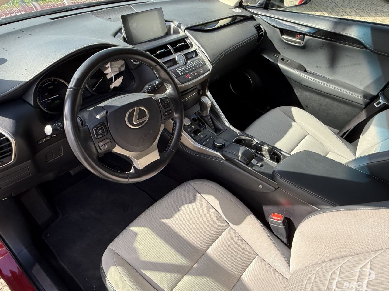 Lexus NX 300h | 14