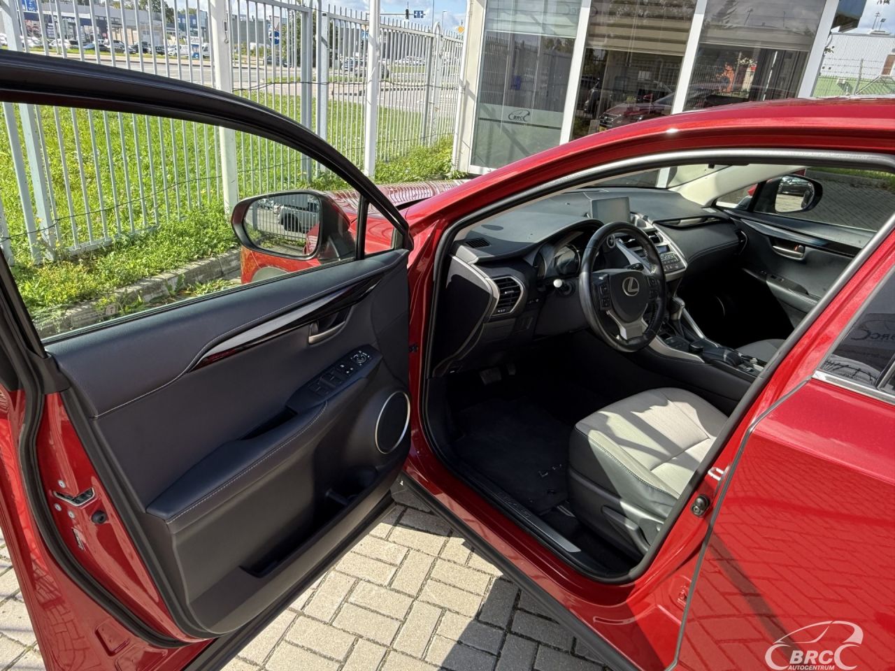 Lexus NX 300h | 12