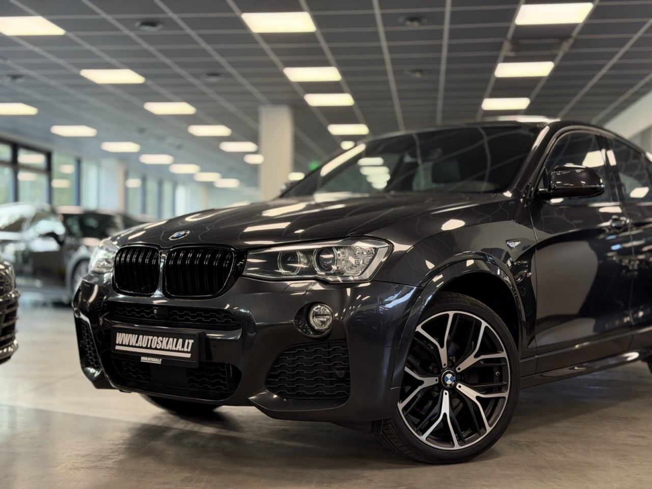 BMW X4 | 25