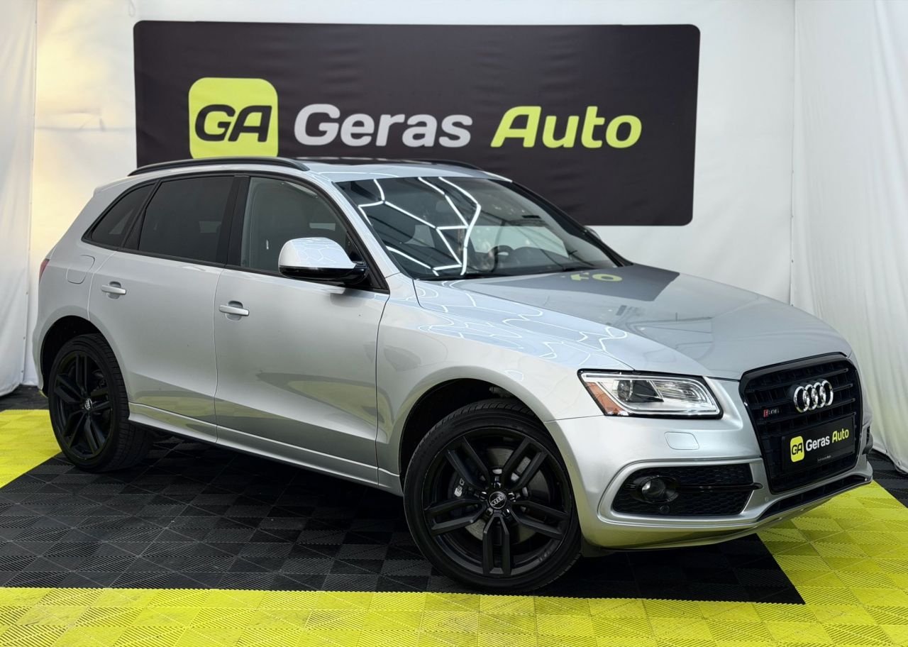 Audi SQ5 | 3